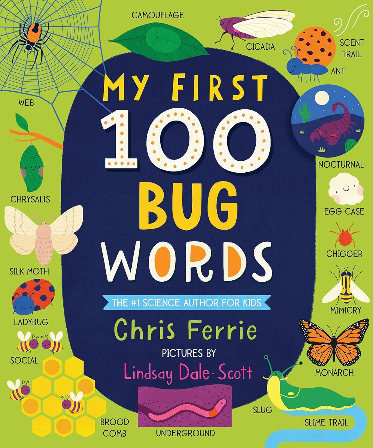My First 100 Bug Words Book Cover