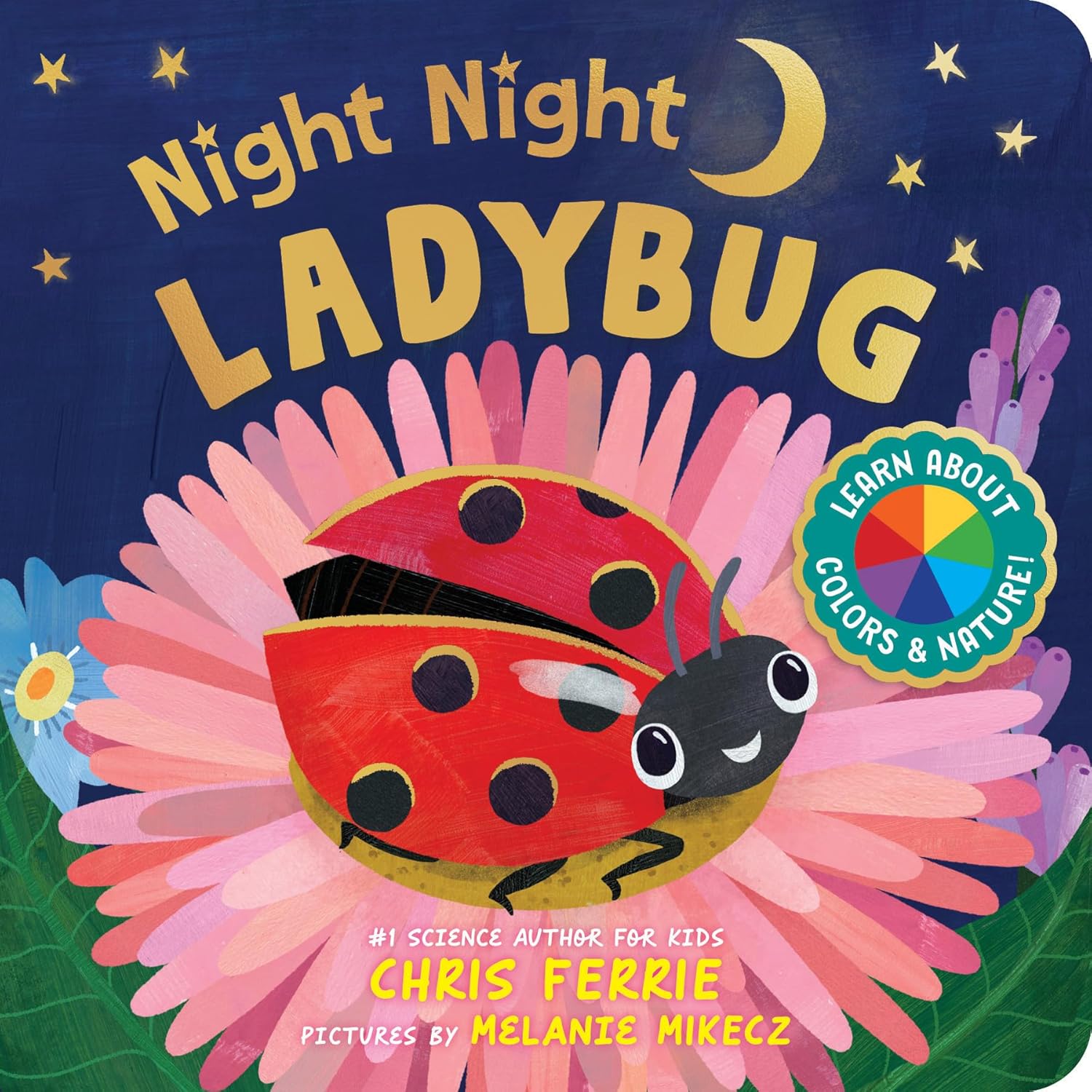 Night Night Ladybug Book Cover